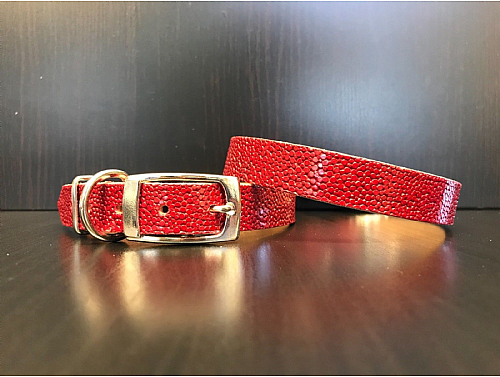 Red Bubbles  - Leather Dog Collar - Size M