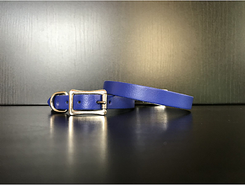 Royal Blue - Leather Dog Collar - Size XS - Puppy
