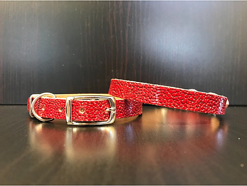 Red Bubbles - Leather Dog Collar - Size S