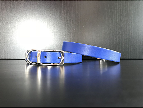Royal Blue - Leather Dog Collar - Size S