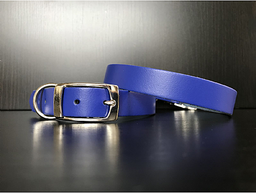 Royal Blue - Leather Dog Collar - Size M
