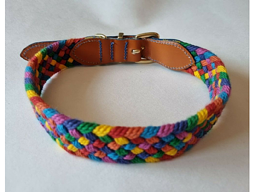 Multicolored Webbing Dog Collar